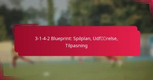 Read more about the article 3-1-4-2 Blueprint: Spilplan, Udførelse, Tilpasning