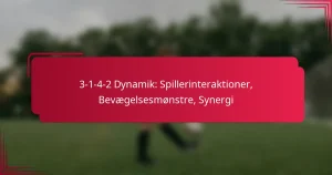 Read more about the article 3-1-4-2 Dynamik: Spillerinteraktioner, Bevægelsesmønstre, Synergi