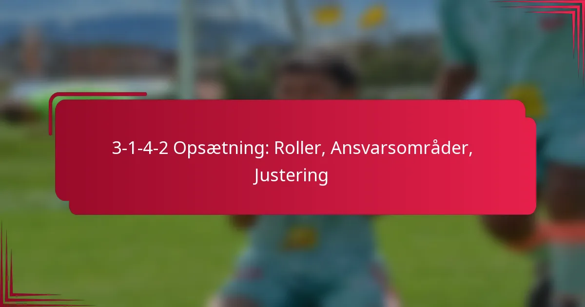 Read more about the article 3-1-4-2 Opsætning: Roller, Ansvarsområder, Justering