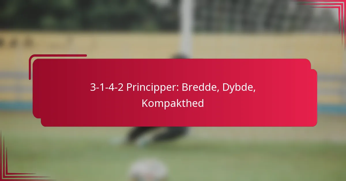 You are currently viewing 3-1-4-2 Principper: Bredde, Dybde, Kompakthed