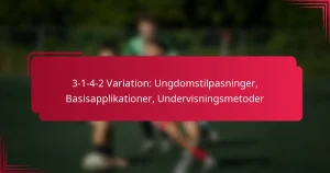 Read more about the article 3-1-4-2 Variation: Ungdomstilpasninger, Basisapplikationer, Undervisningsmetoder