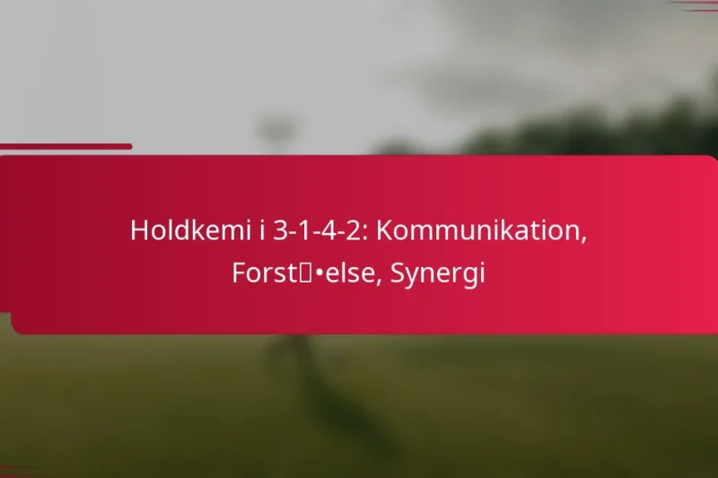Holdkemi i 3-1-4-2: Kommunikation, Forståelse, Synergi