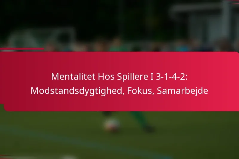 Mentalitet Hos Spillere I 3-1-4-2: Modstandsdygtighed, Fokus, Samarbejde