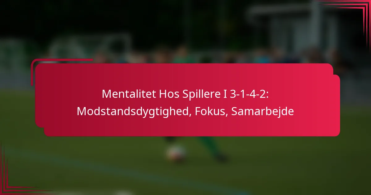 Read more about the article Mentalitet Hos Spillere I 3-1-4-2: Modstandsdygtighed, Fokus, Samarbejde