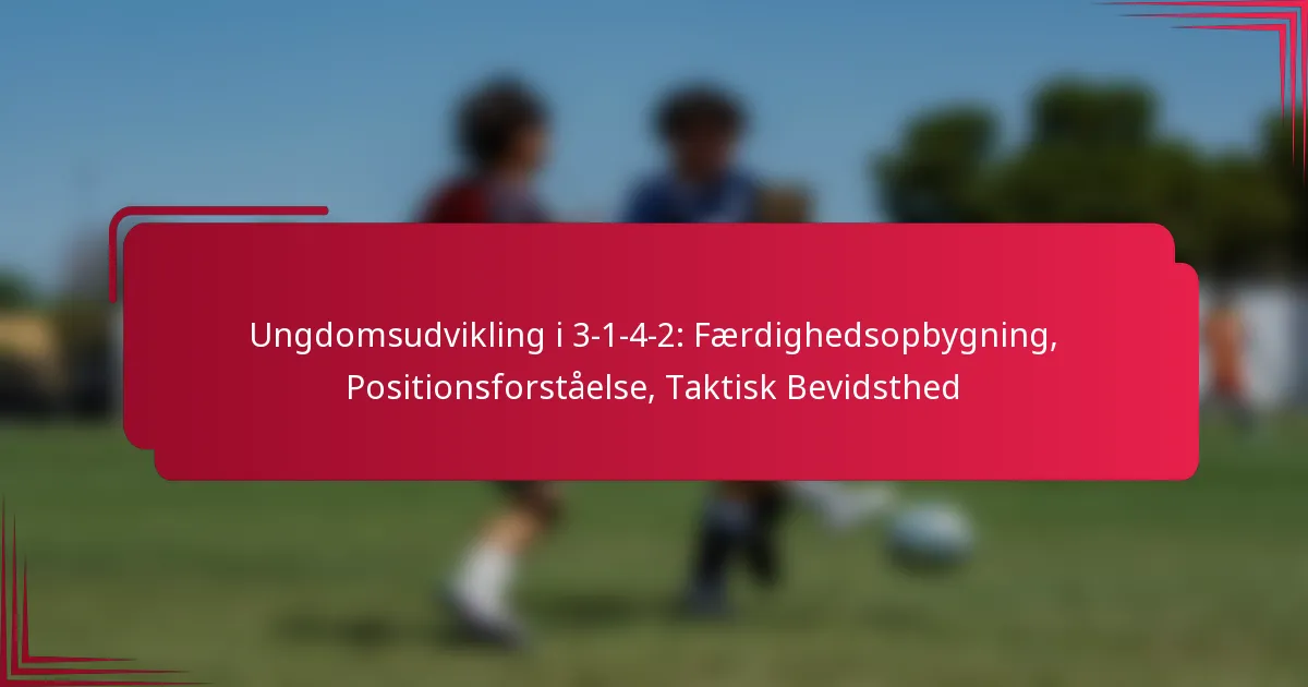 Read more about the article Ungdomsudvikling i 3-1-4-2: Færdighedsopbygning, Positionsforståelse, Taktisk Bevidsthed