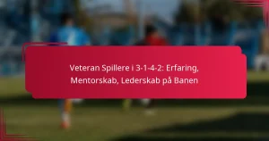 Read more about the article Veteran Spillere i 3-1-4-2: Erfaring, Mentorskab, Lederskab på Banen
