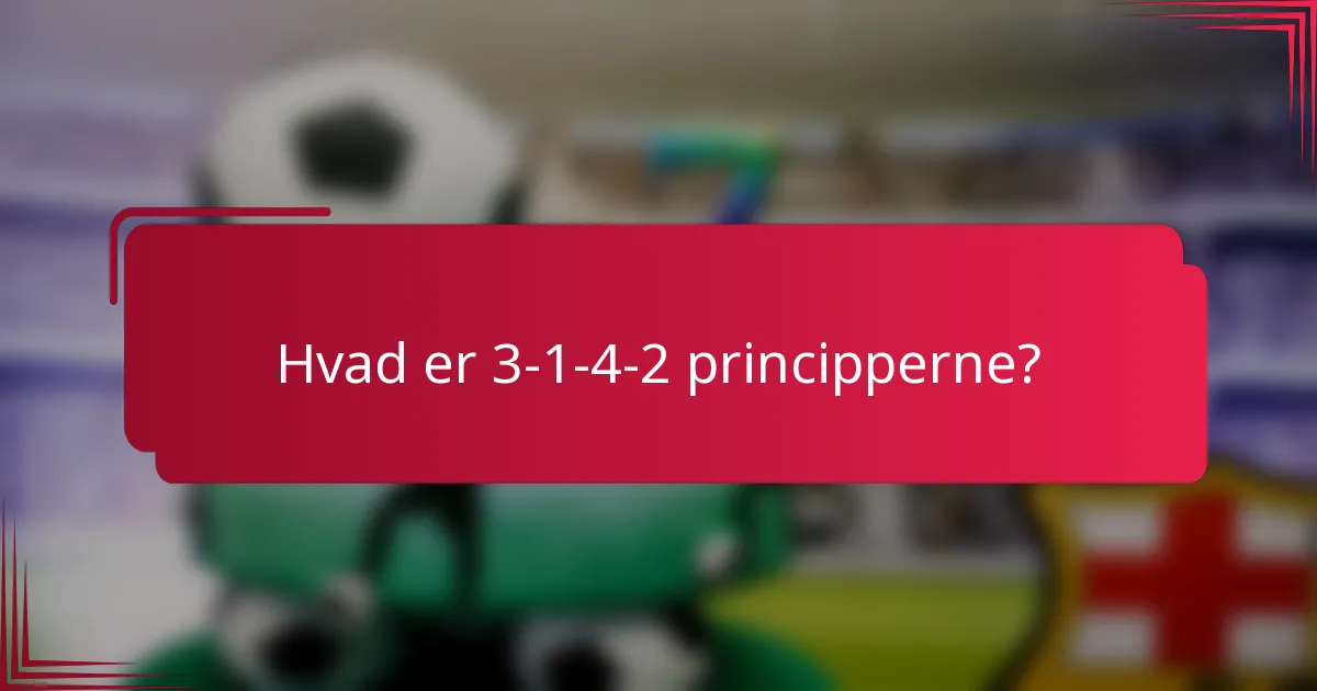 Hvad er 3-1-4-2 principperne?