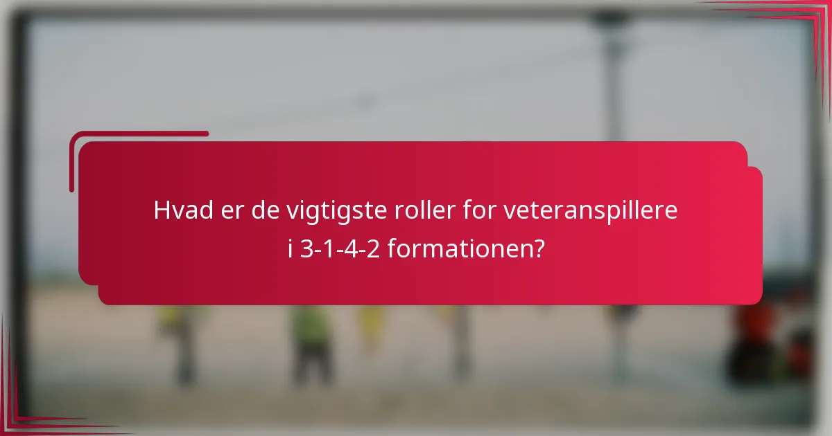 Hvad er de vigtigste roller for veteranspillere i 3-1-4-2 formationen?