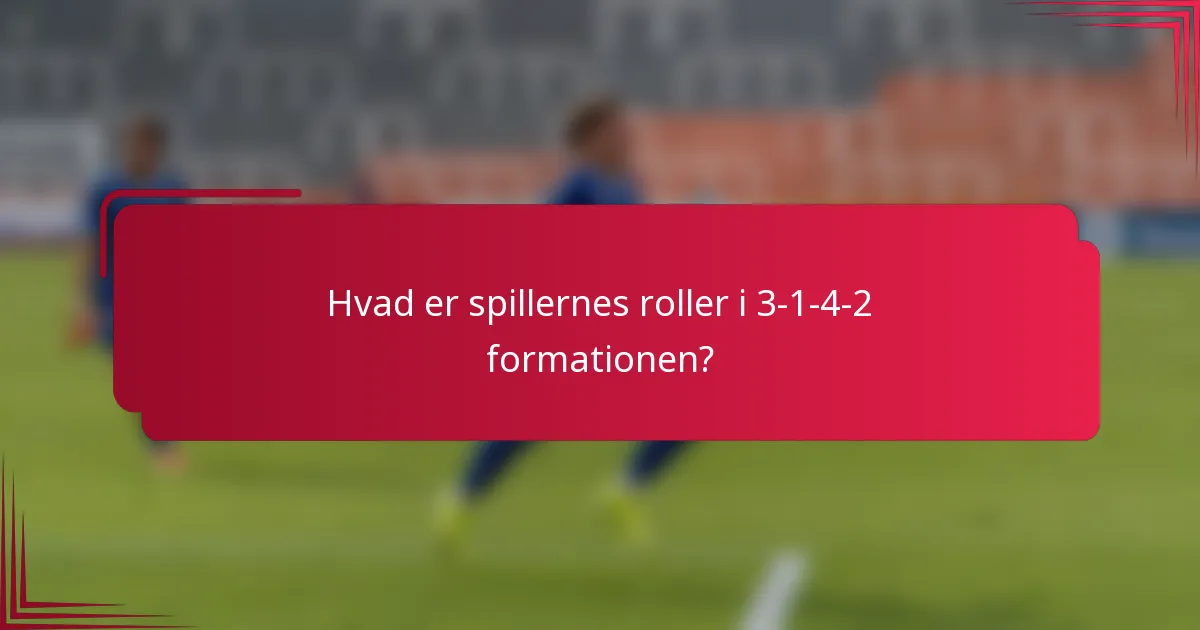 Hvad er spillernes roller i 3-1-4-2 formationen?