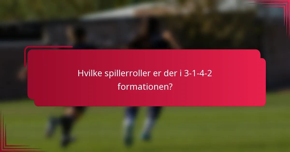 Hvilke spillerroller er der i 3-1-4-2 formationen?