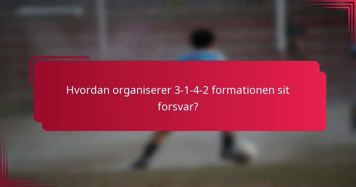 Hvordan organiserer 3-1-4-2 formationen sit forsvar?